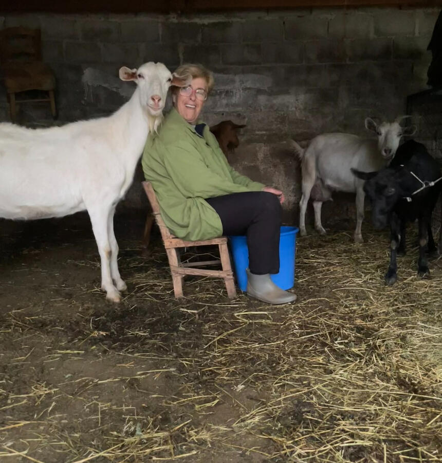 Traditional Greek cheese-making from our farm’s fresh milk