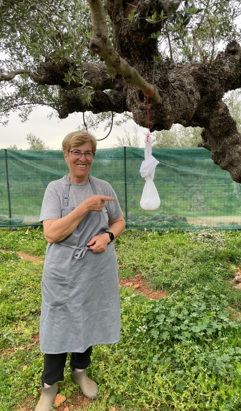 Cheese making in Kalamata Cheese making in Kalamata